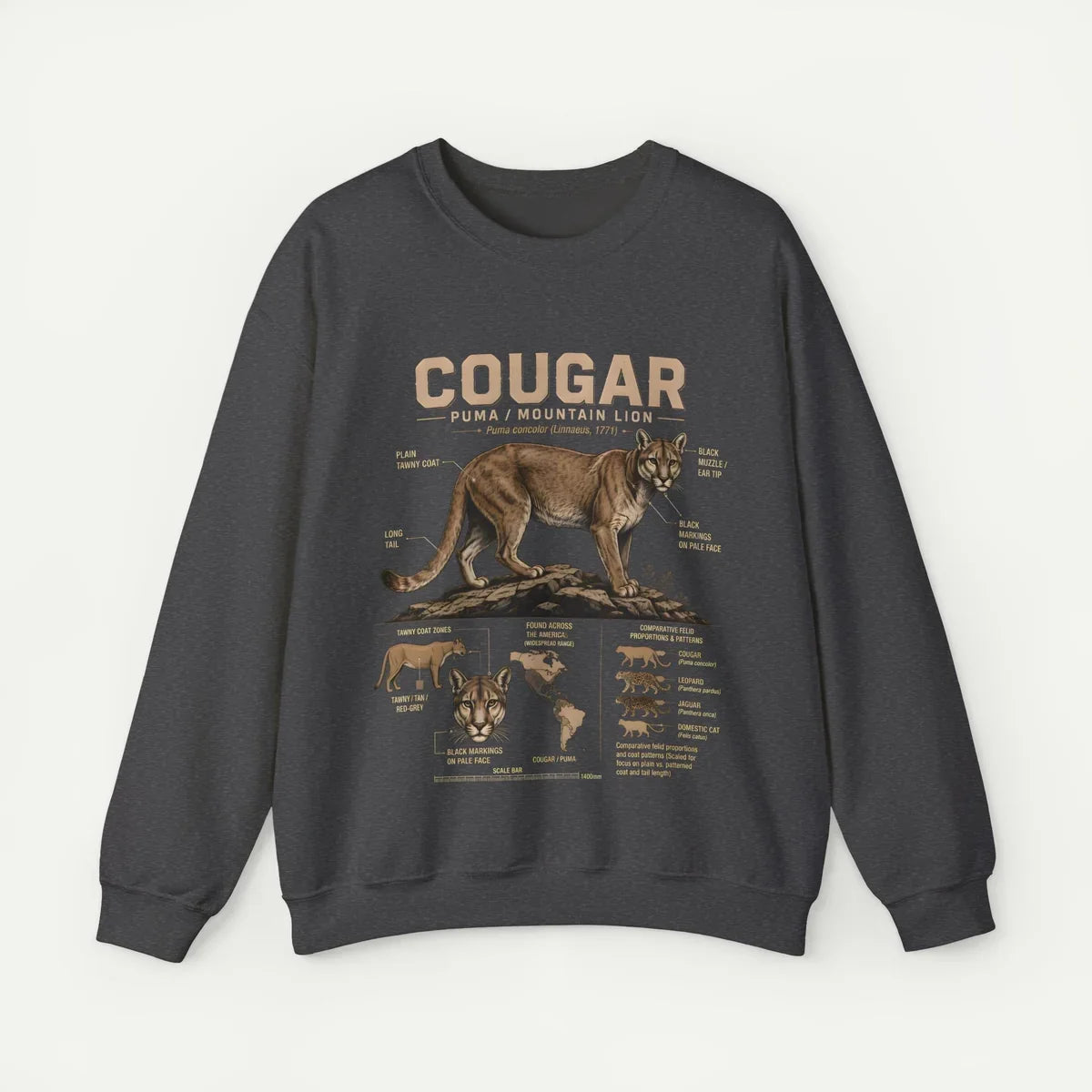 Sweatshirts