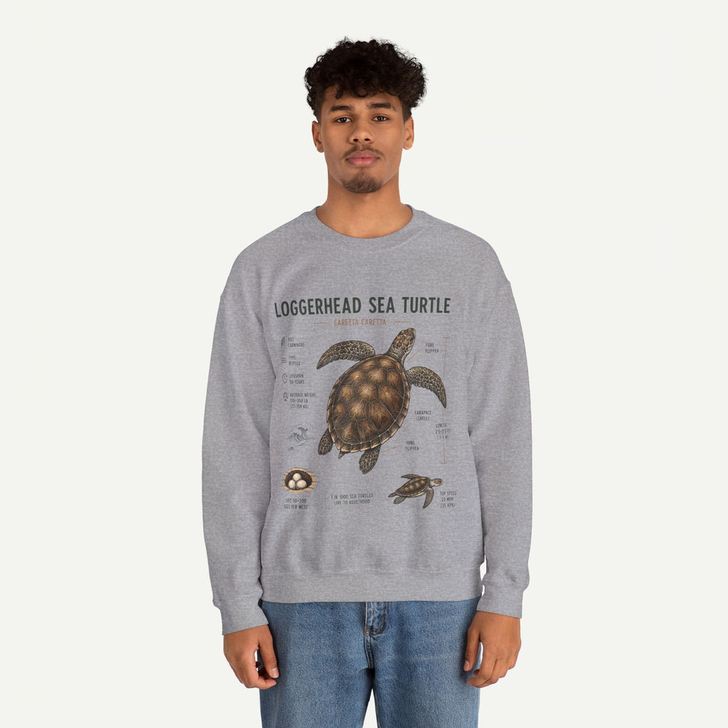 Loggerhead Sea Turtle Anatomy Sweatshirt — Marine Life Educational Crewneck