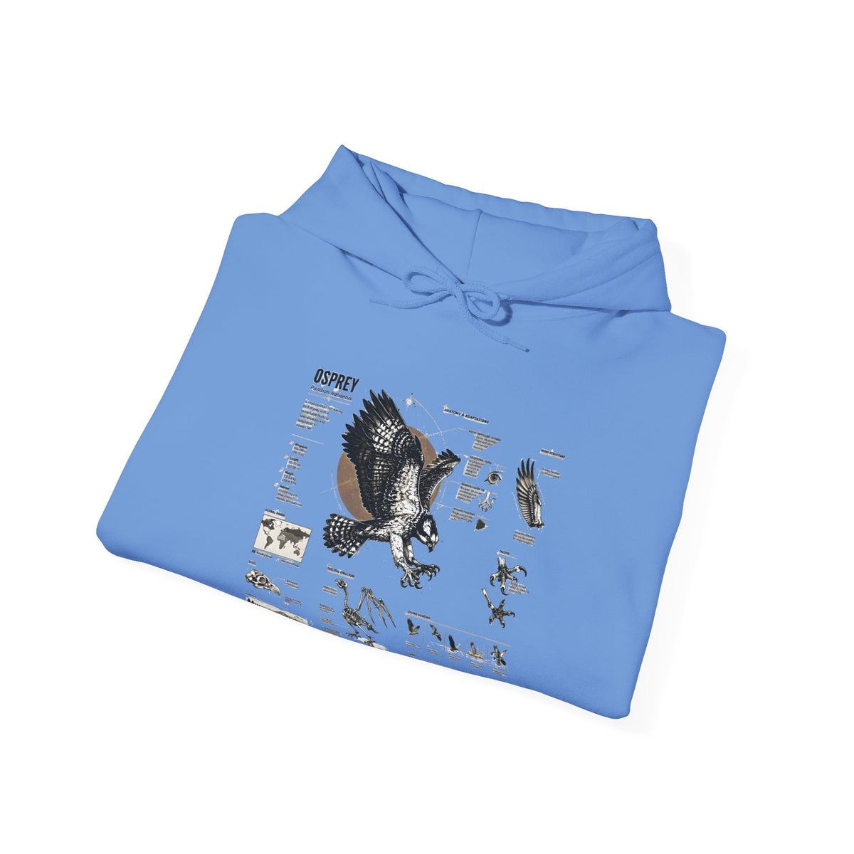 Eagle Anatomy Hoodie — Vintage Ornithology Graphic Sweatshirt