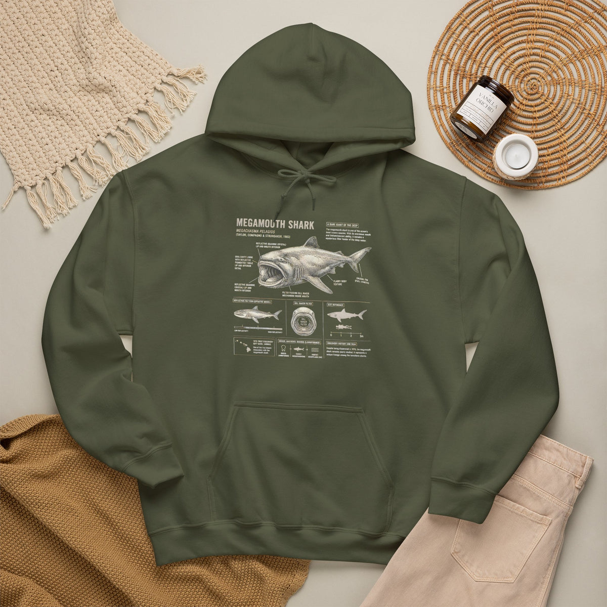Shark Anatomy Hoodie — Vintage Megalodon Illustration Pullover