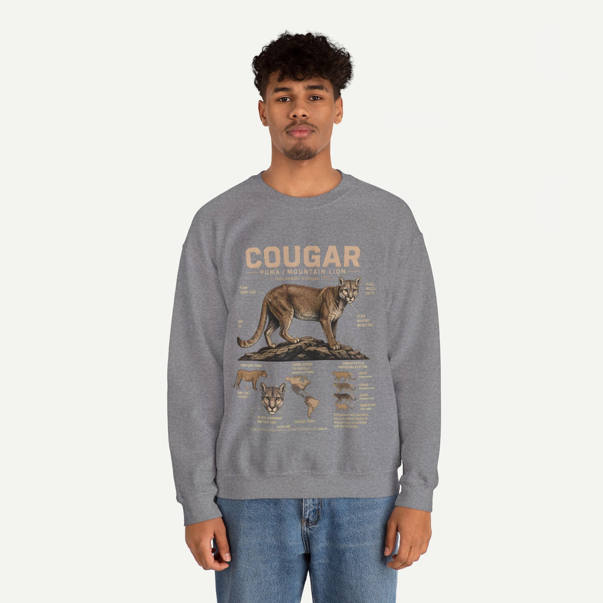 Cougar Anatomy Sweatshirt – Puma / Mountain Lion Educational Crewneck