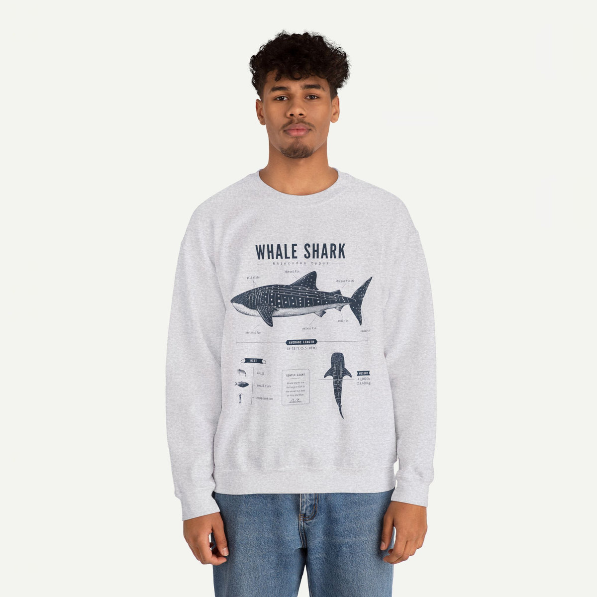 Whale Shark Anatomy Sweatshirt — Marine Life Illustration Crewneck