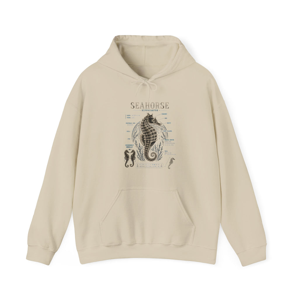 Seahorse Anatomy Hoodie — Vintage Marine Illustration Sweatshirt