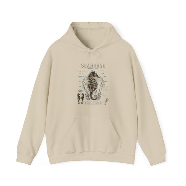 Seahorse Anatomy Hoodie — Vintage Marine Illustration Sweatshirt