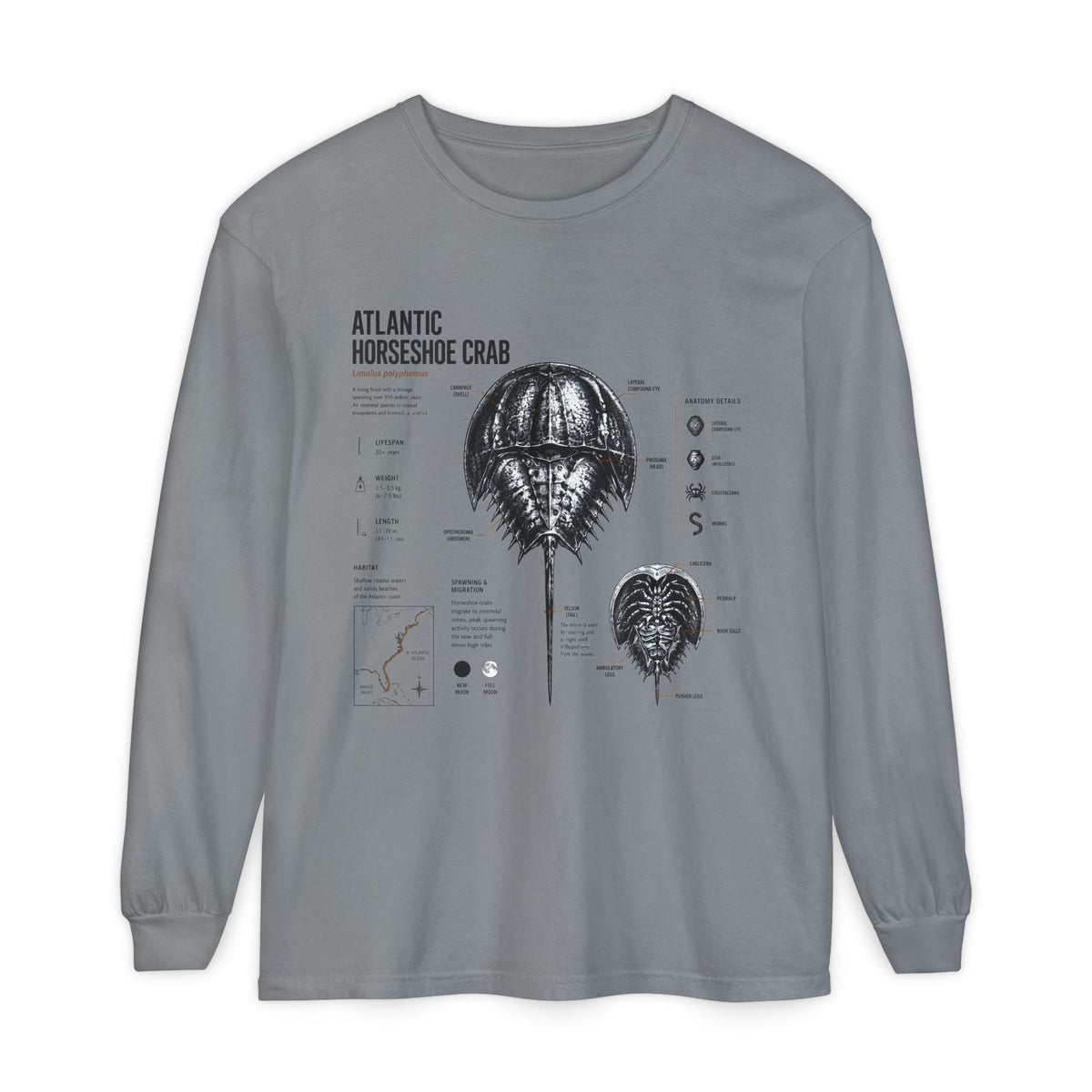 Atlantic Horseshoe Crab Anatomy Long Sleeve Tee