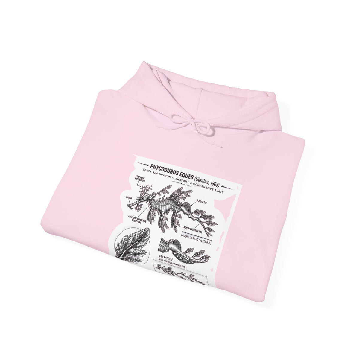 Botanical Anatomy Hoodie — Vintage Plant Diagram Sweatshirt
