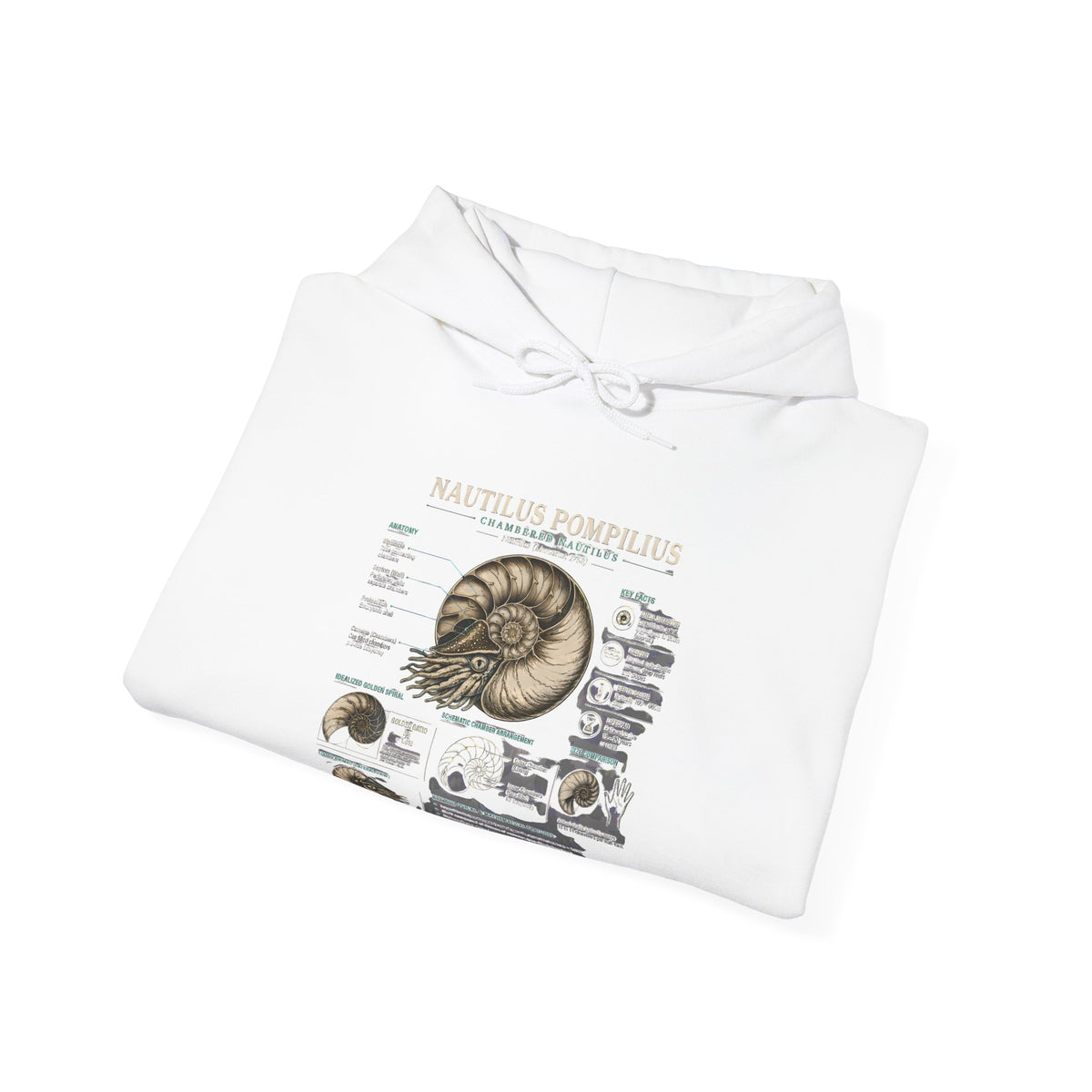Ammonite Fossil Hoodie – Vintage Natural History Nautilus Diagram Sweatshirt