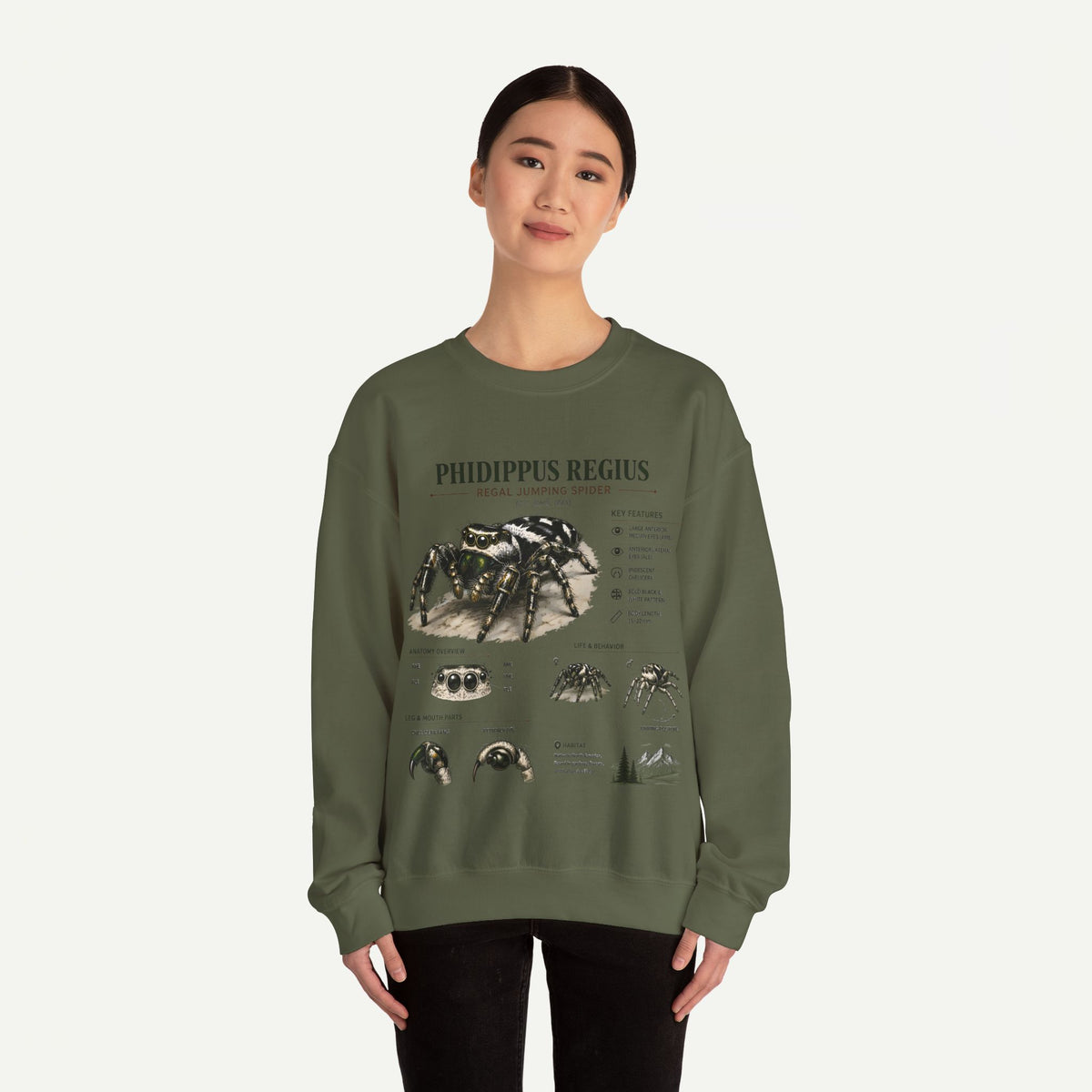 Spider Anatomy Crewneck Sweatshirt — Phidippus Regius Jumping Spider Illustration