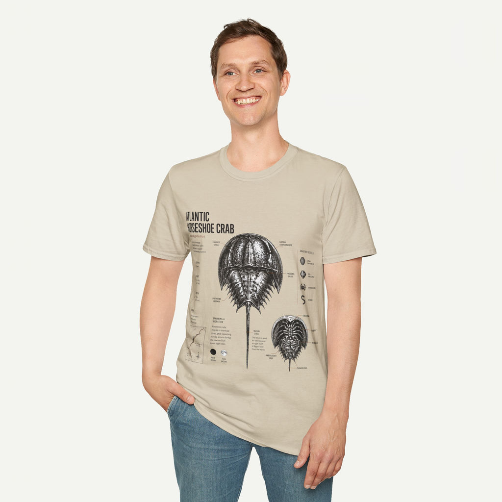 Horseshoe Crab Anatomy T-Shirt — Atlantic Horseshoe Crab Illustration