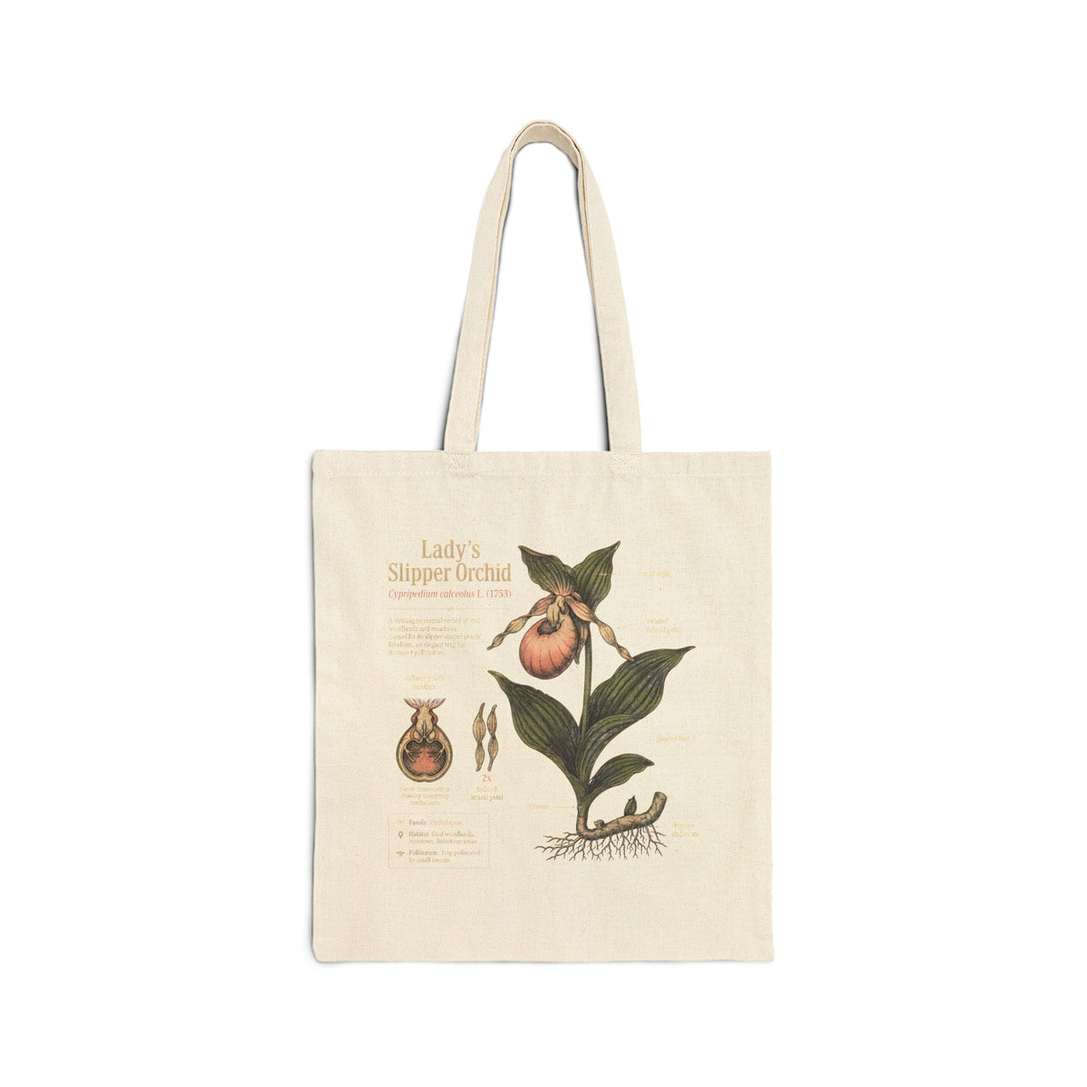 Lady's Slipper Orchid Anatomy Canvas Tote Bag — Vintage Botanical Grocery Shopper Main image