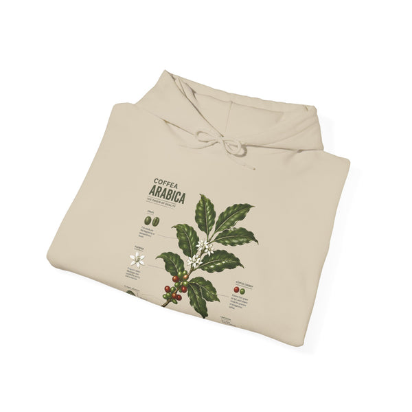 Coffee Plant Hoodie — Coffea Arabica Botanical Illustration Sweatshirt