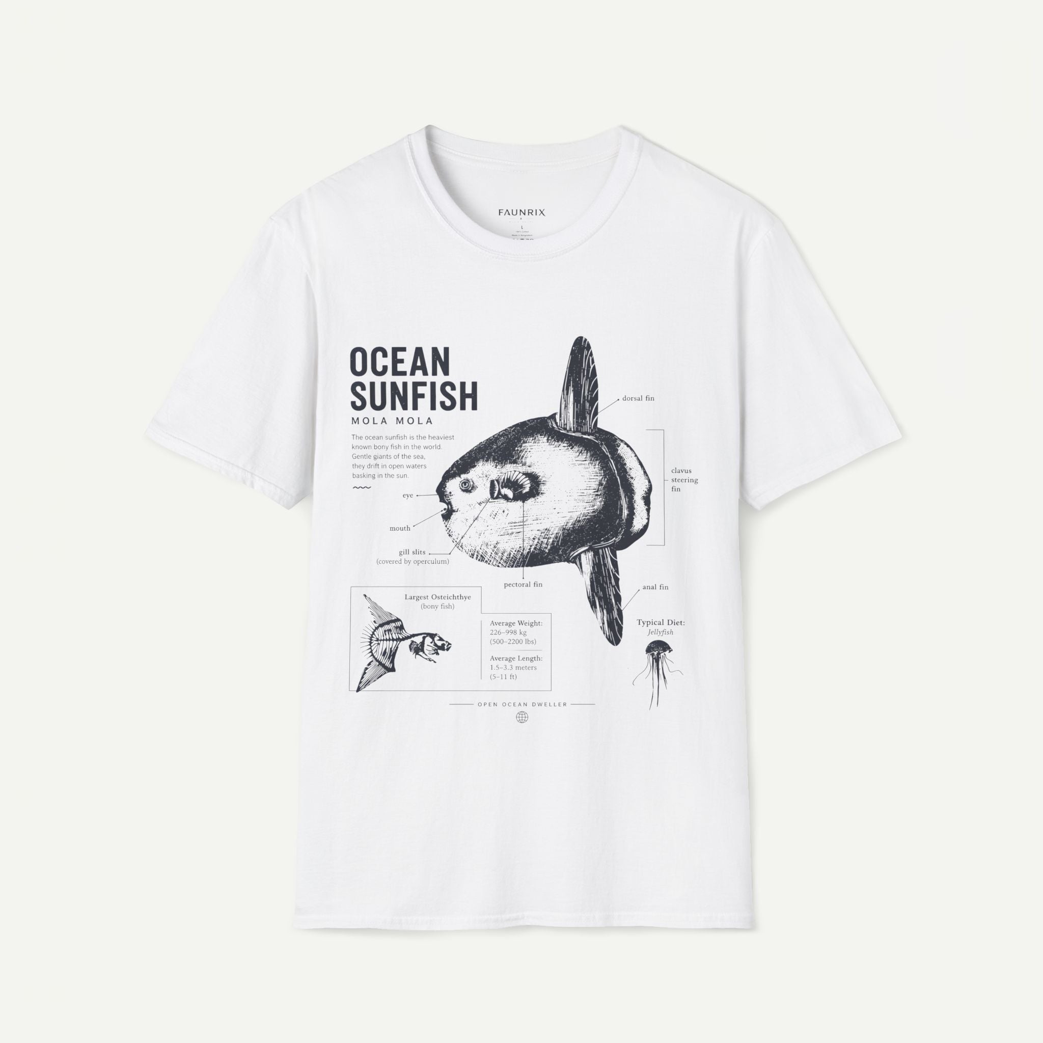 Sunfish Anatomy T-Shirt — Ocean Sunfish Graphic Tee for Marine Lovers Secondary image