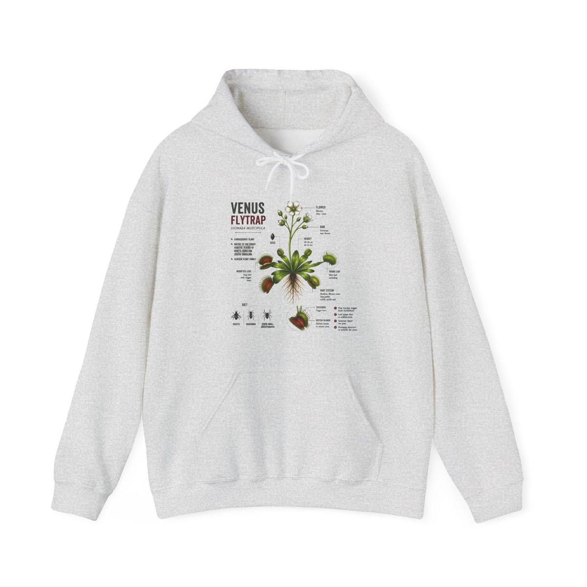 Venus Flytrap Botanical Hoodie – Illustrated Carnivorous Plant Guide