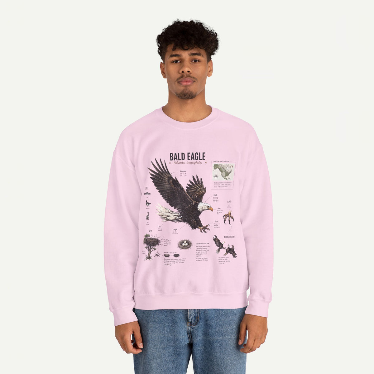 Bald Eagle Anatomy Sweatshirt