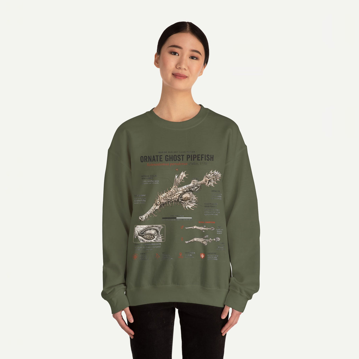 Ornate Ghost Pipefish Anatomy Sweatshirt
