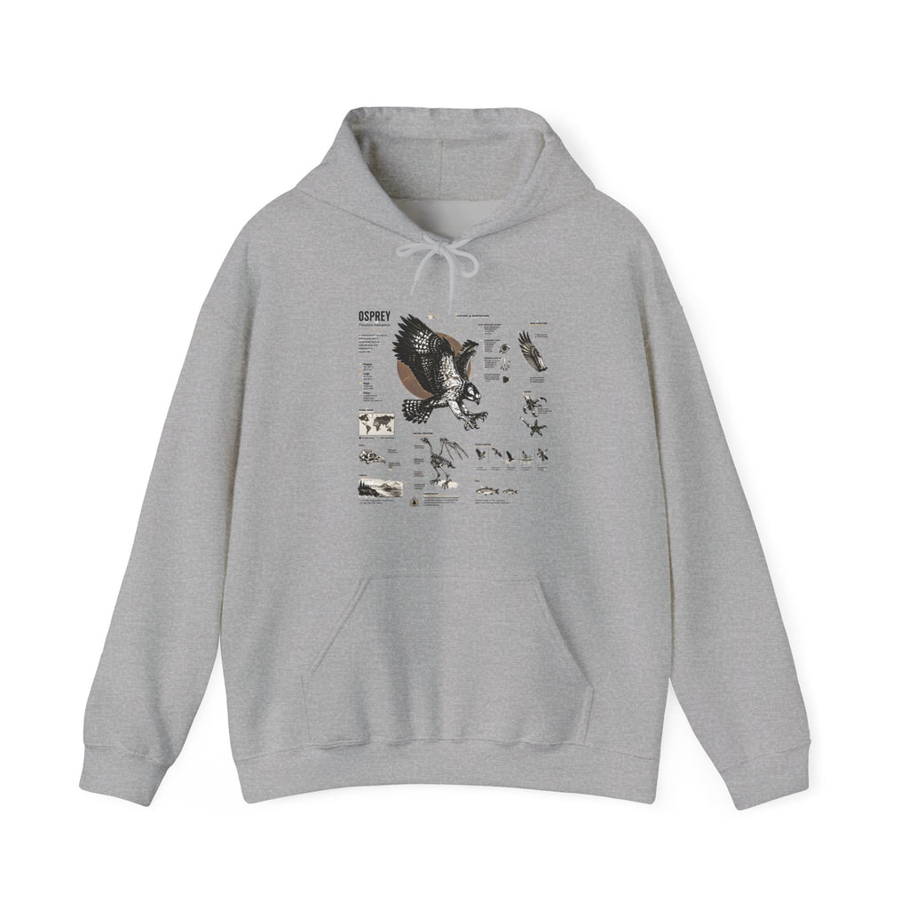 Eagle Anatomy Hoodie — Vintage Ornithology Graphic Sweatshirt