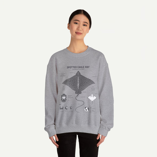 Spotted Eagle Ray Anatomy Sweatshirt – Marine Biology Illustration