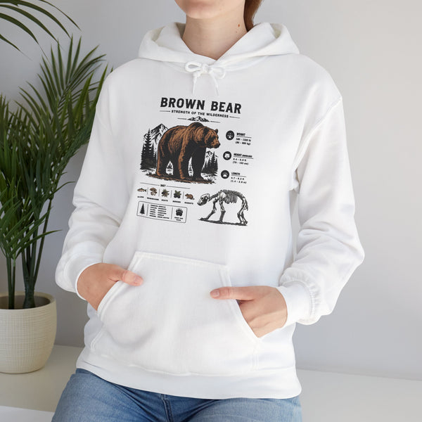 Brown Bear Anatomy Hoodie — Vintage Wildlife Graphic Sweatshirt