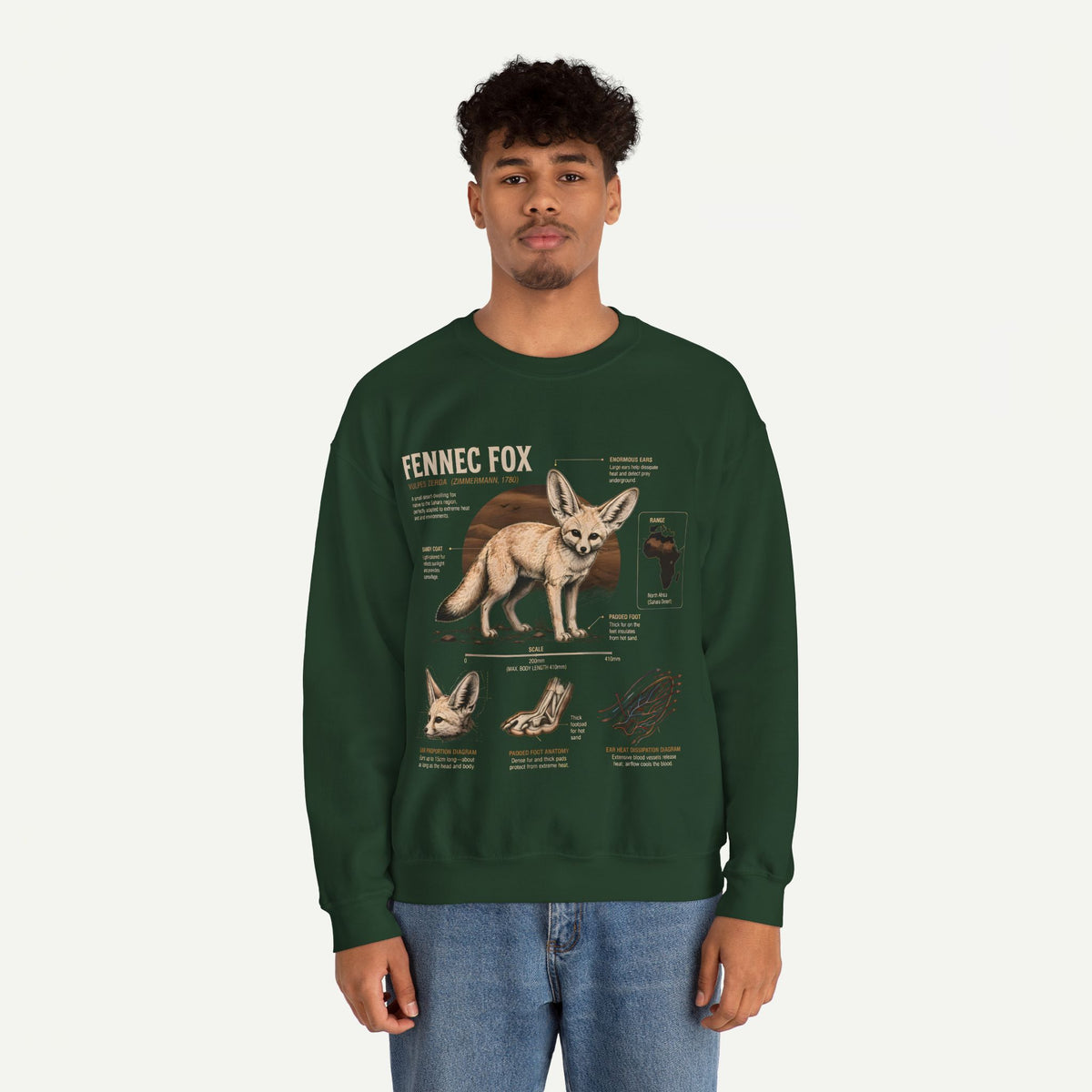 Fennec Fox Anatomy Sweatshirt – Wildlife Anatomy Crewneck