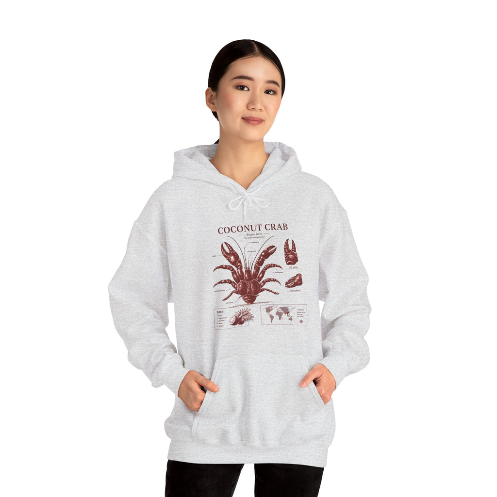 Coconut Crab Anatomy Hoodie — Vintage Botanical & Marine Study Print