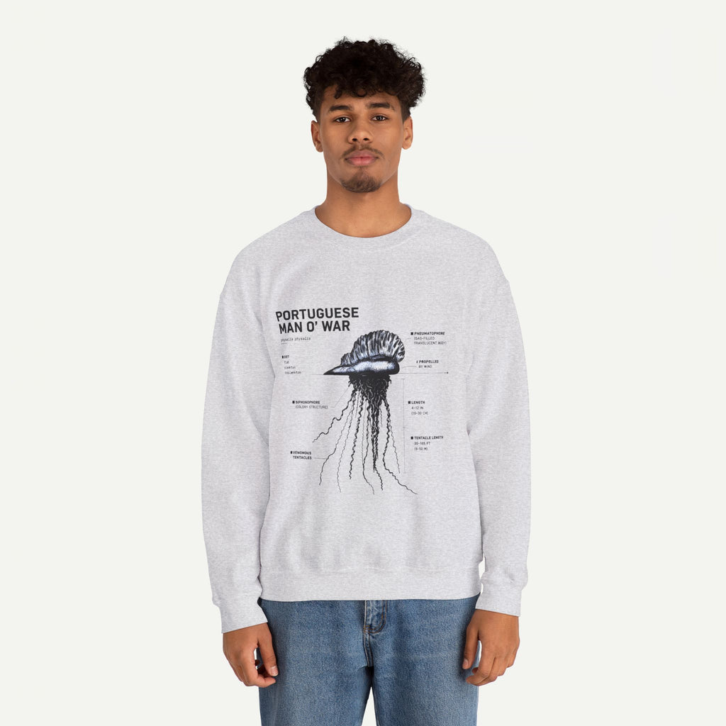 Portuguese Man O' War Anatomy Sweatshirt