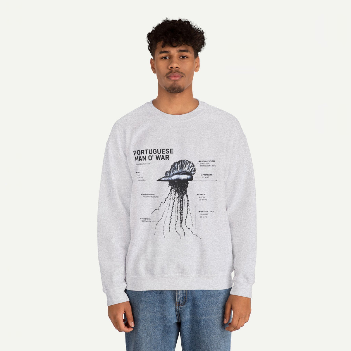Portuguese Man O' War Anatomy Sweatshirt