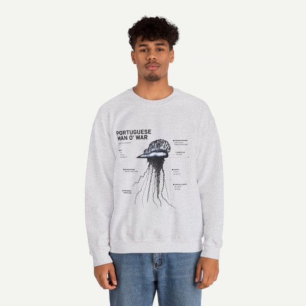 Portuguese Man O' War Anatomy Sweatshirt