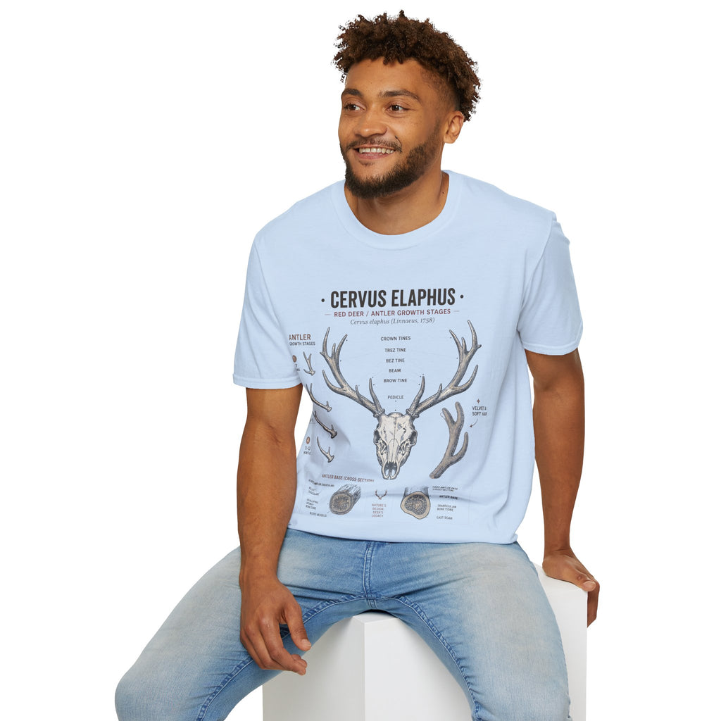 Deer Antler Anatomy T-Shirt — 'Cervus Elaphus' Educational Graphic