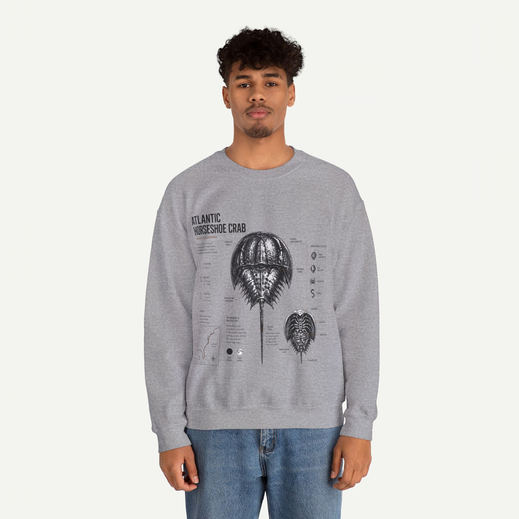 Horseshoe Crab Anatomy Sweatshirt — Atlantic Horseshoe Crab Illustration Crewneck
