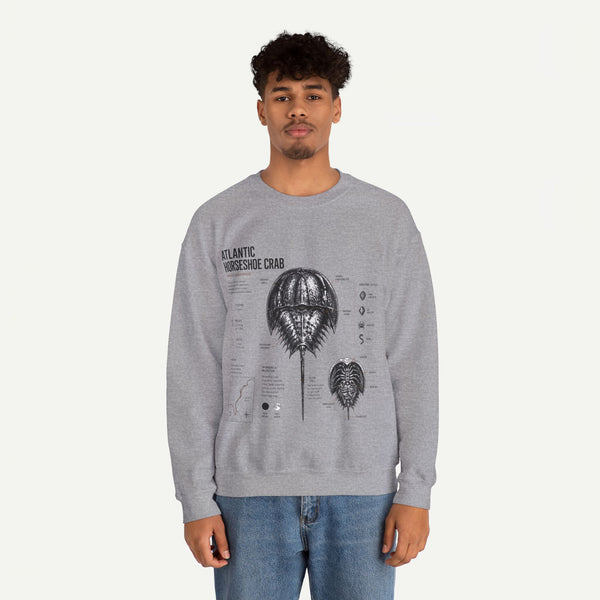 Horseshoe Crab Anatomy Sweatshirt — Atlantic Horseshoe Crab Illustration Crewneck