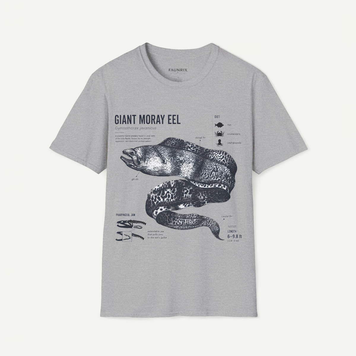 Moray Eel Anatomy Graphic T-Shirt — Vintage Scientific Illustration Tee
