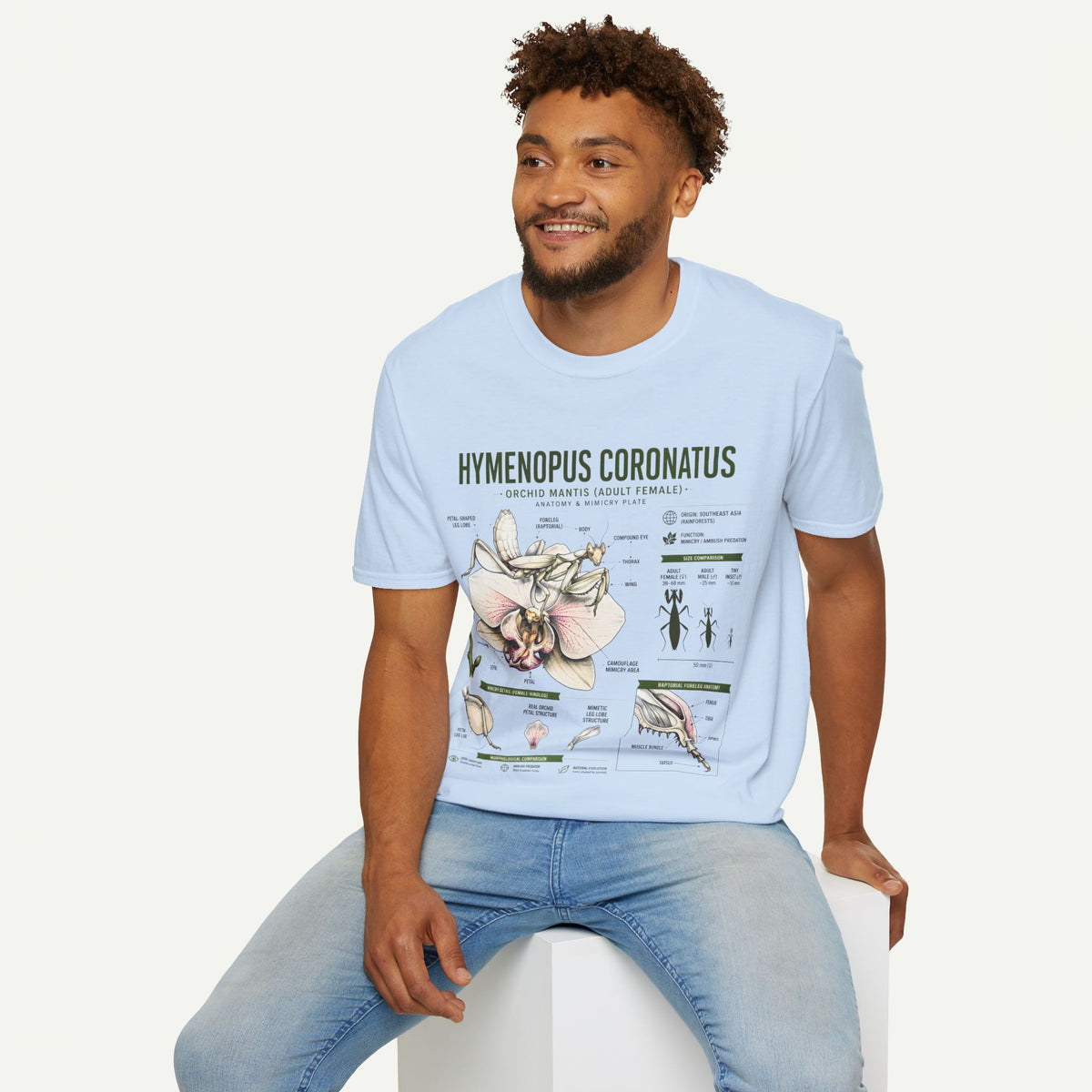 Mantis Anatomy Tee — Hymenopus Coronatus Orchid Mantis Illustration