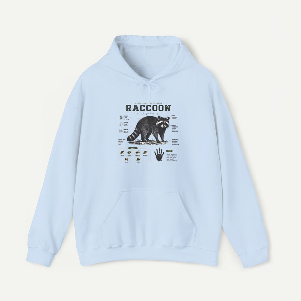 Raccoon Anatomy Hoodie — Vintage Wildlife Illustration Sweatshirt