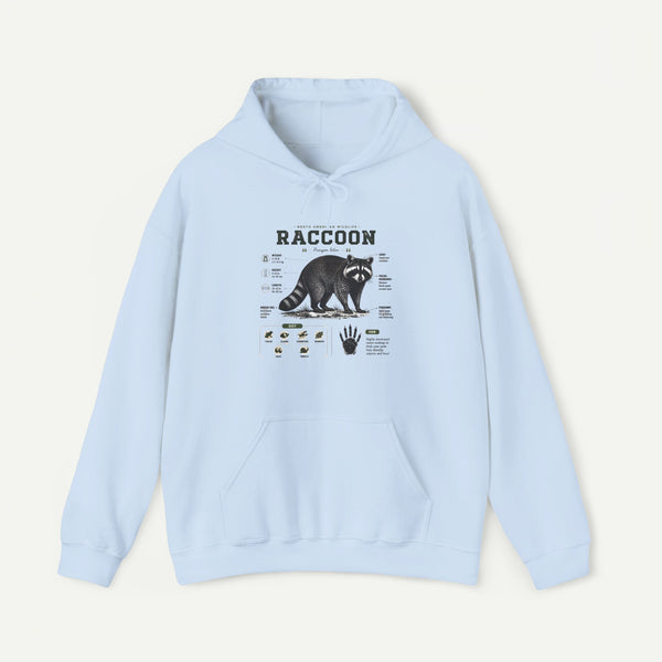 Raccoon Anatomy Hoodie — Vintage Wildlife Illustration Sweatshirt