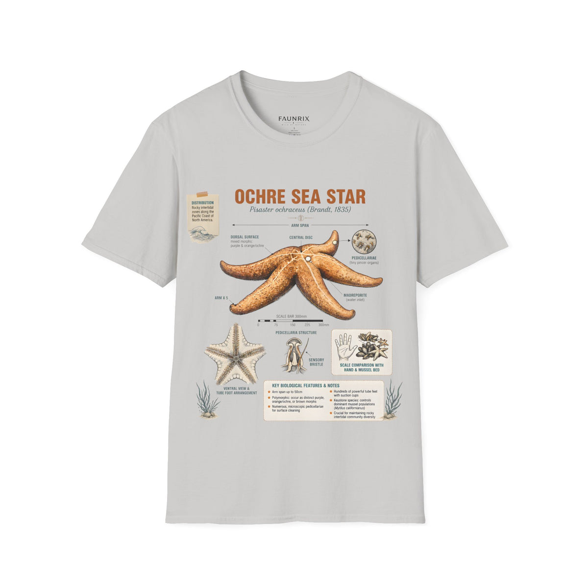 Sea Star Anatomy T-Shirt — Ochre Starfish Illustration Tee