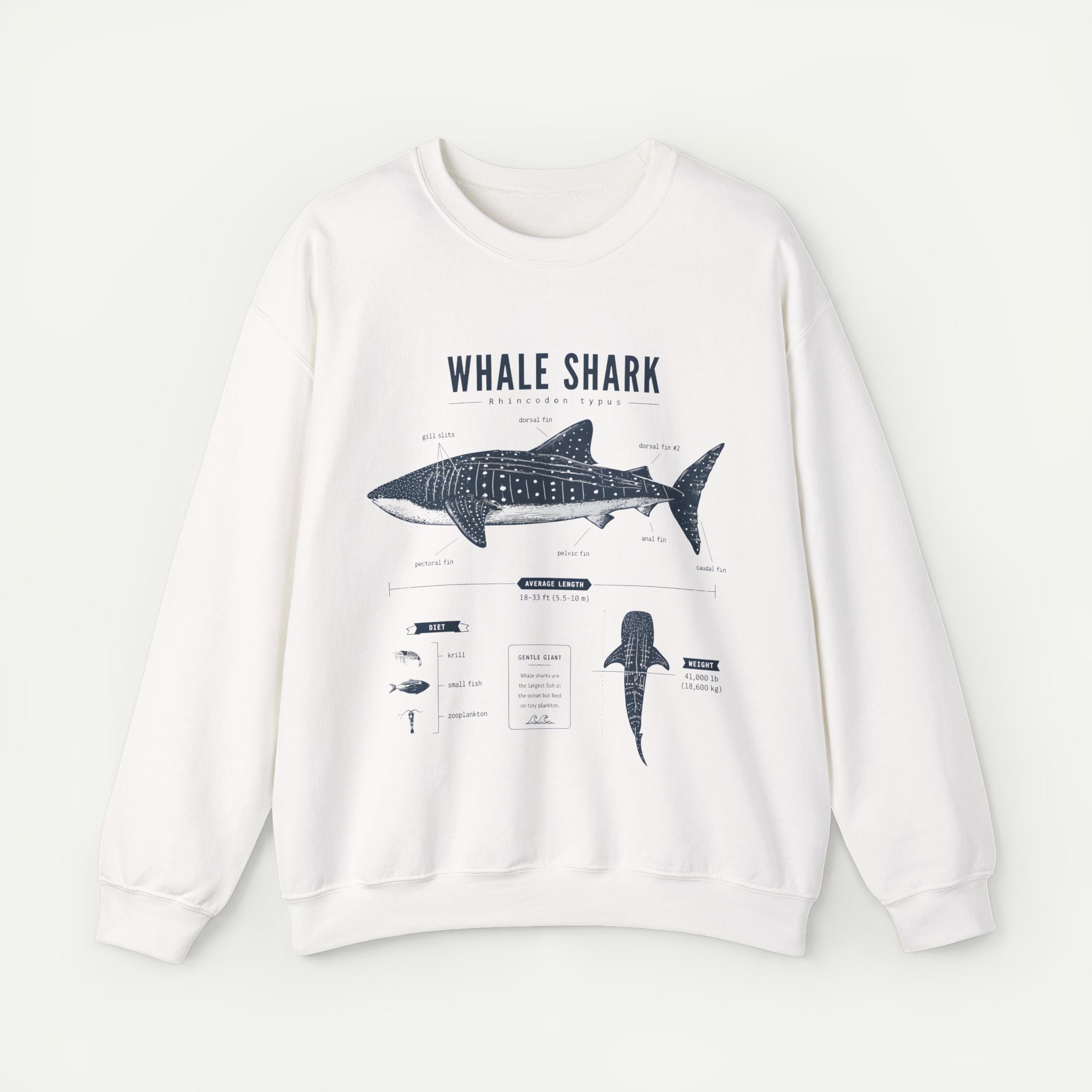 Whale Shark Anatomy Sweatshirt — Marine Life Illustration Crewneck Secondary image