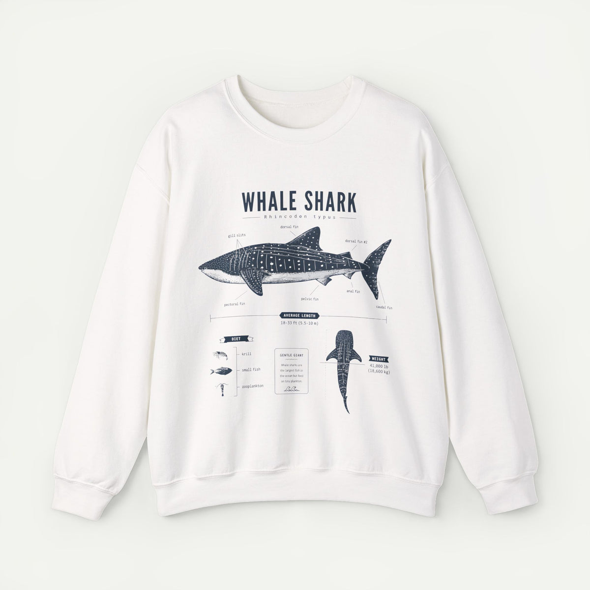 Whale Shark Anatomy Sweatshirt — Marine Life Illustration Crewneck
