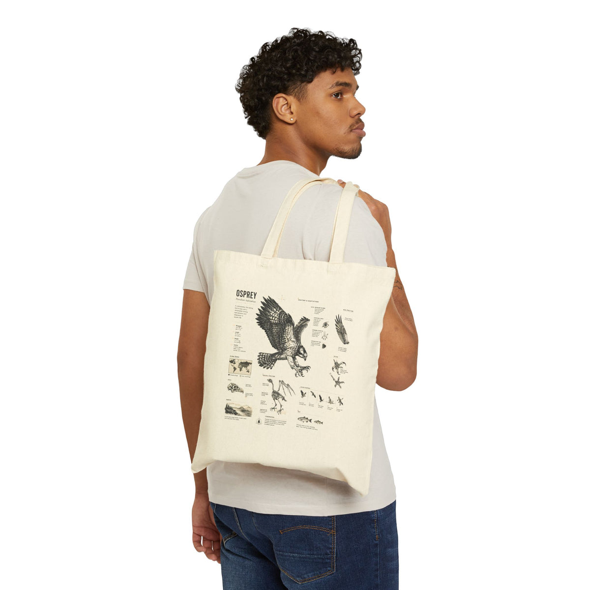 Osprey Anatomy Canvas Tote Bag — Vintage Bird Illustration Eco Tote