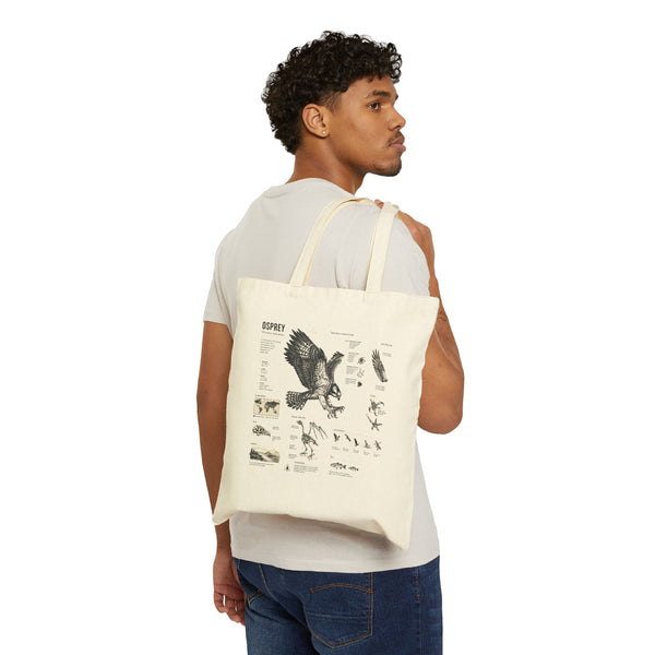 Osprey Anatomy Canvas Tote Bag — Vintage Bird Illustration Eco Tote