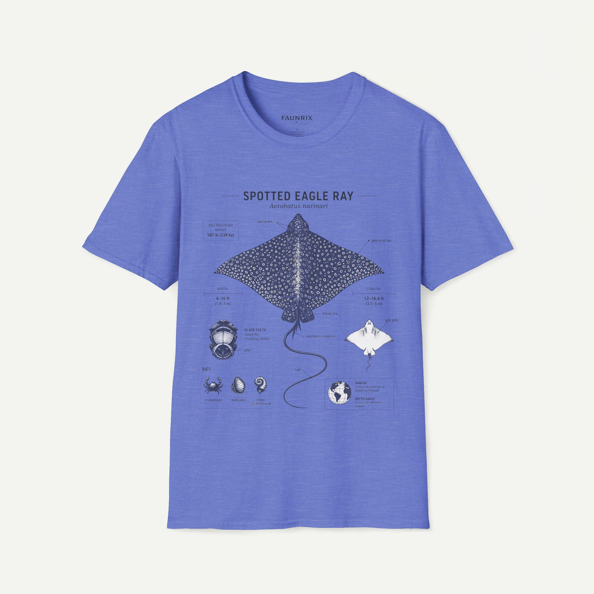 Spotted Eagle Ray Anatomy T-Shirt — Marine Life Graphic Tee