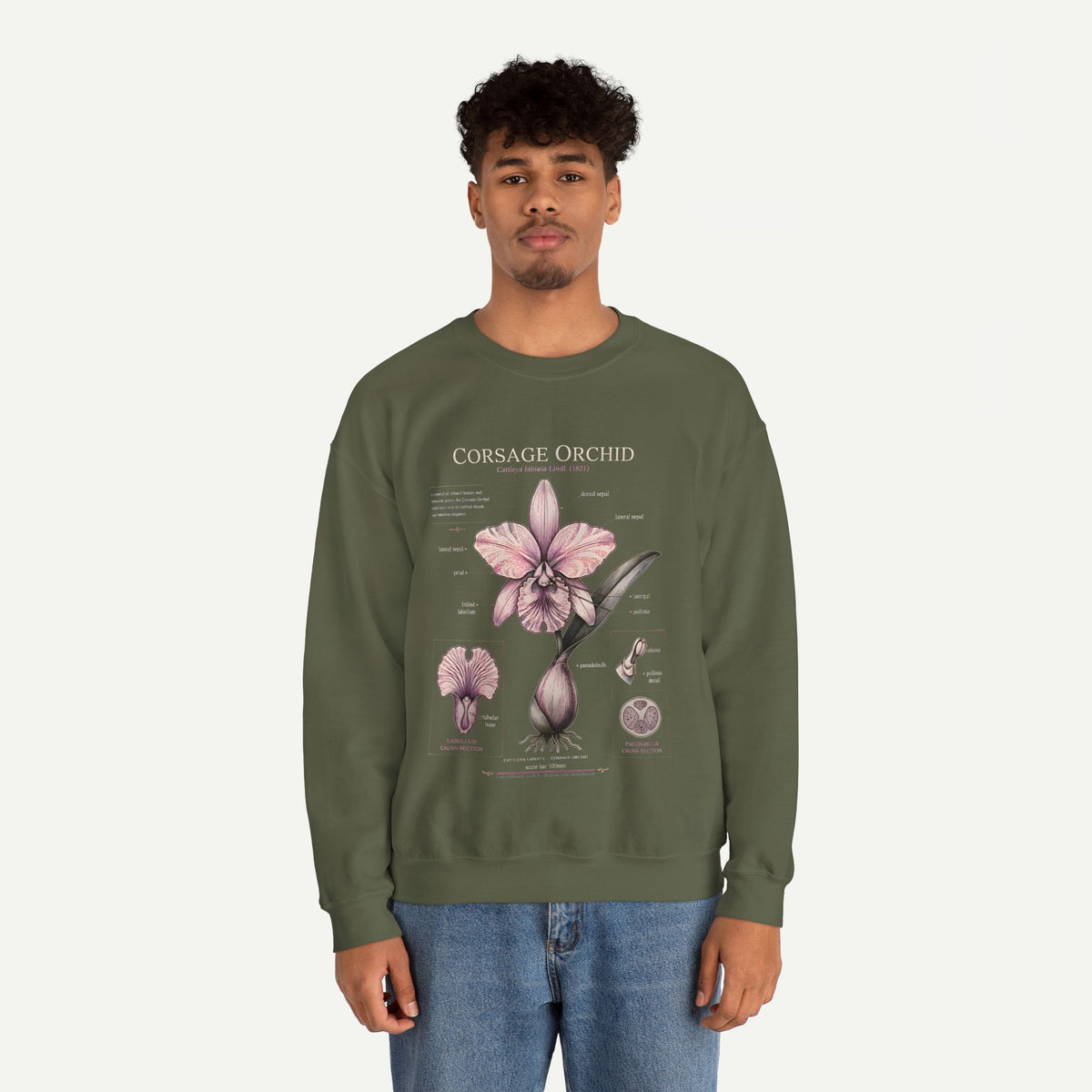 Corsage Orchid Sweatshirt — Botanical Anatomy Floral Crewneck