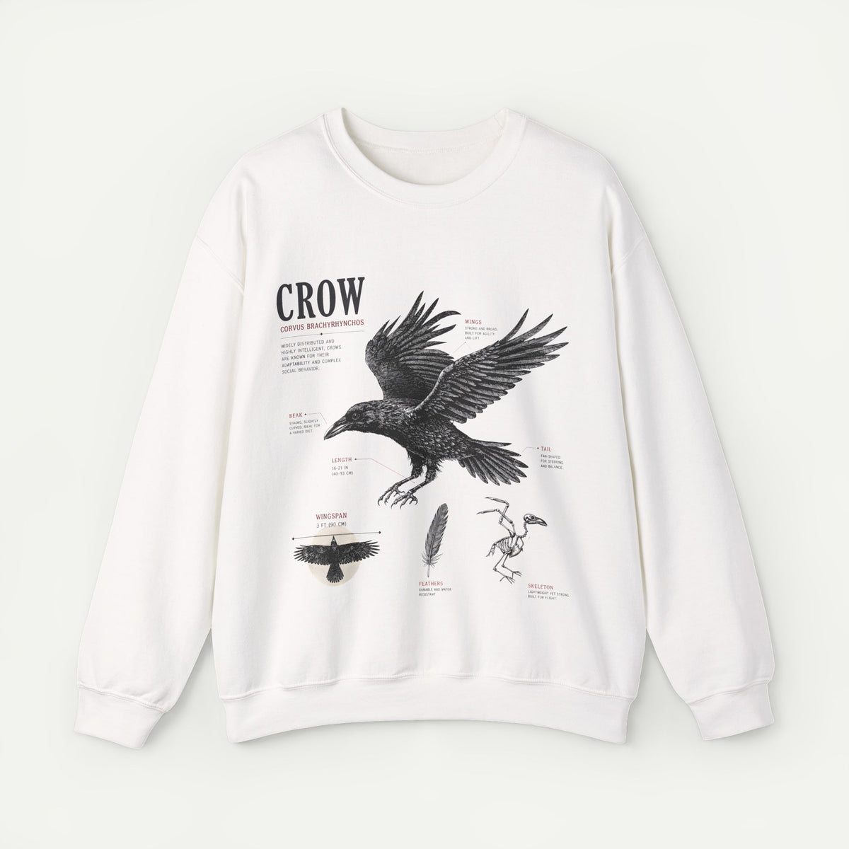 Crow Anatomy Sweatshirt