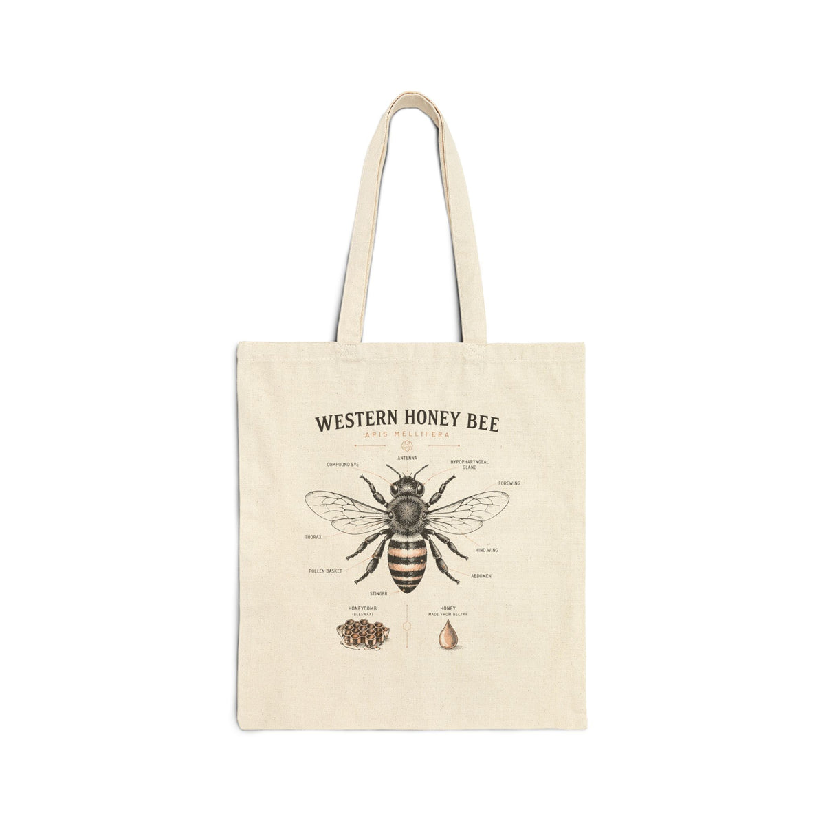 Western Honey Bee Anatomy Tote Bag — Vintage Botanical Bee Illustration