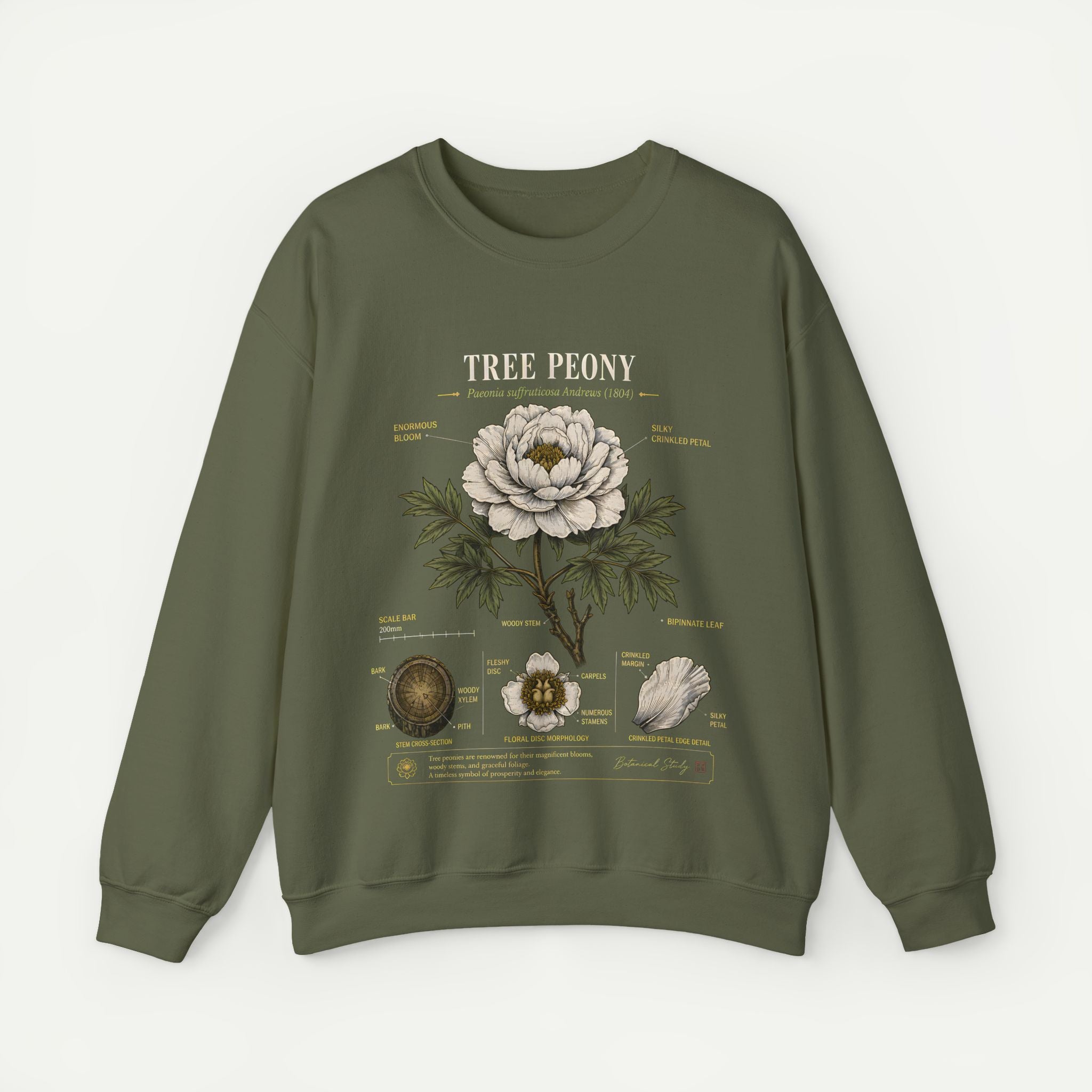 Tree Peony Botanical Sweatshirt — Vintage Flower Anatomy Crewneck Secondary image