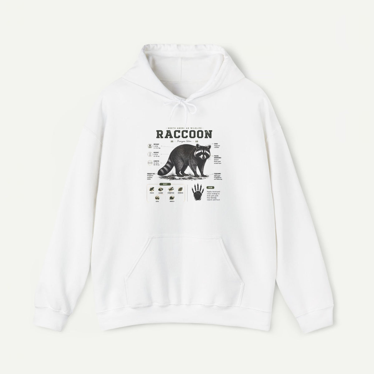Raccoon Anatomy Hoodie — Vintage Wildlife Illustration Sweatshirt
