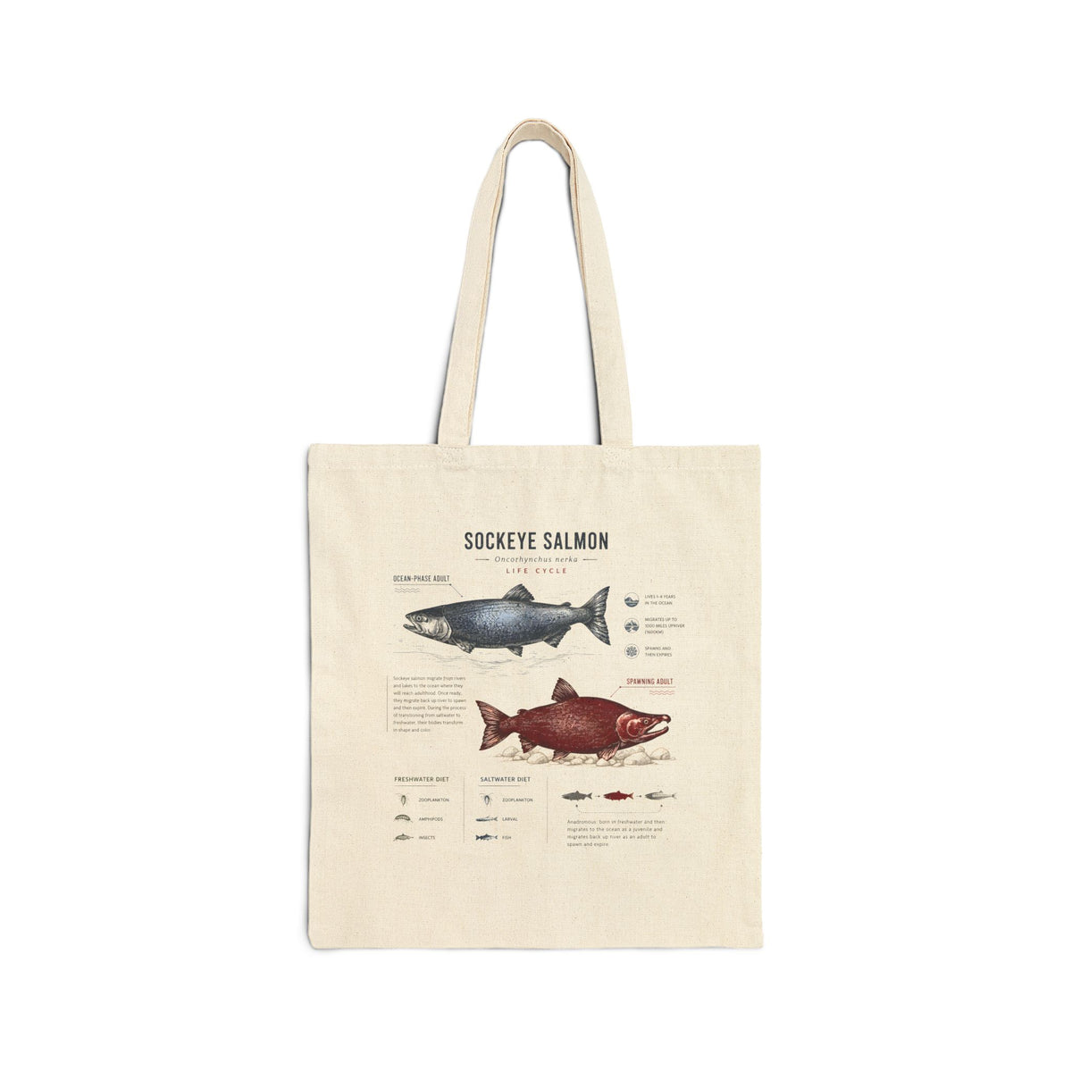 Sockeye Salmon Fish Anatomy Canvas Tote Main image