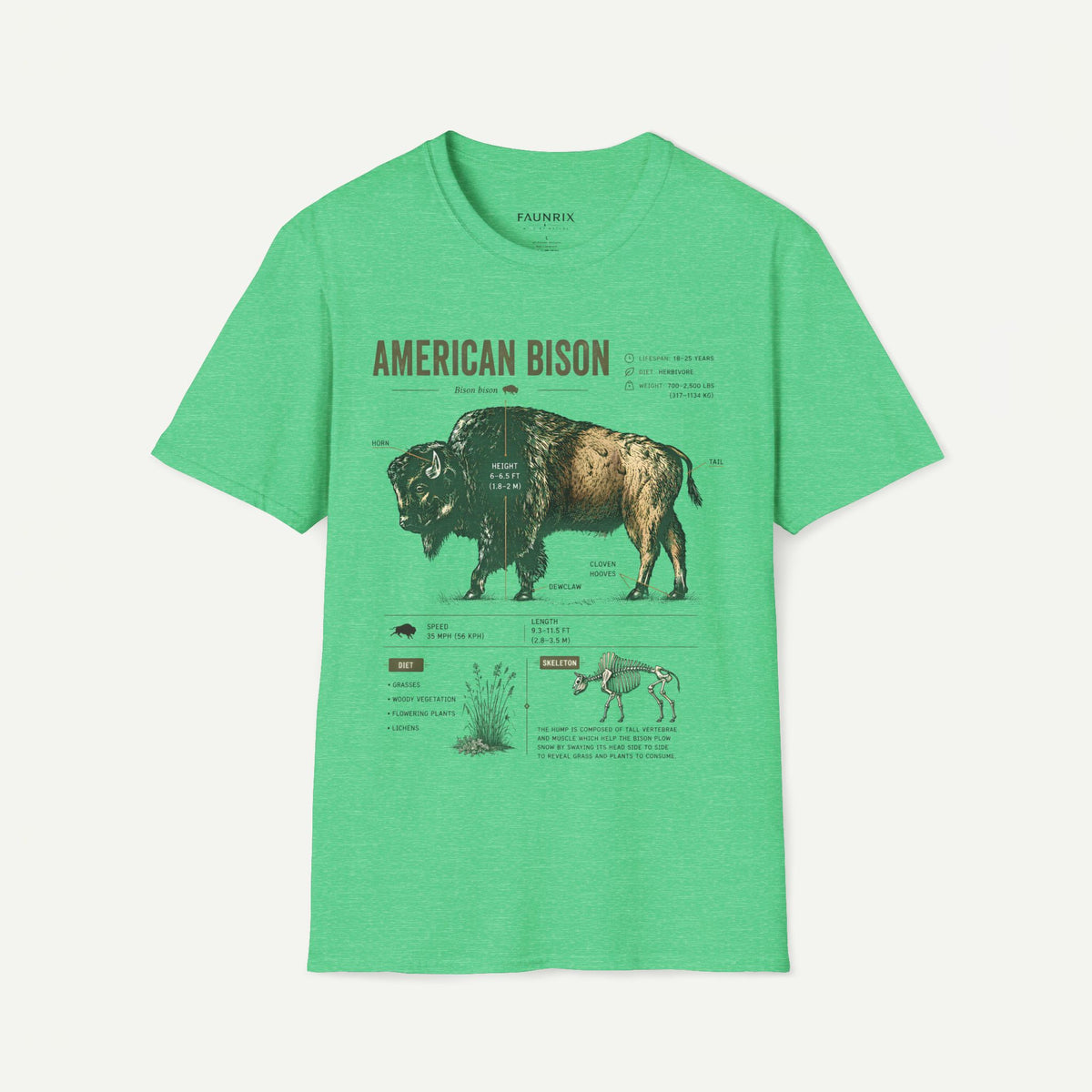 Vintage American Bison Anatomy T-Shirt