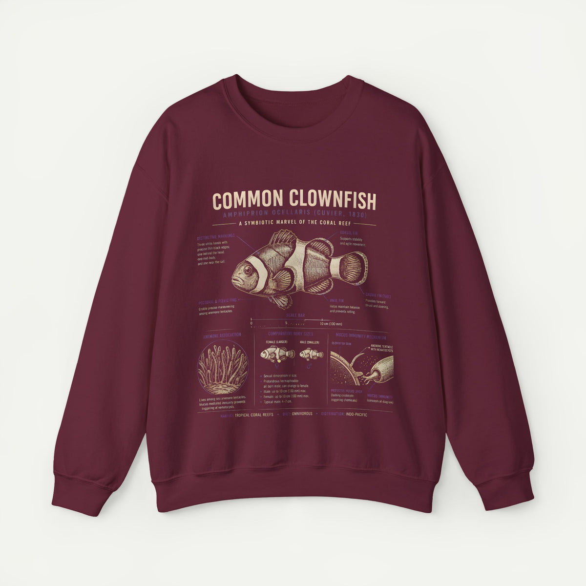 Common Clownfish Anatomy Sweatshirt – Marine Biology Graphic Pullover