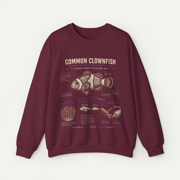Common Clownfish Anatomy Sweatshirt – Marine Biology Graphic Pullover