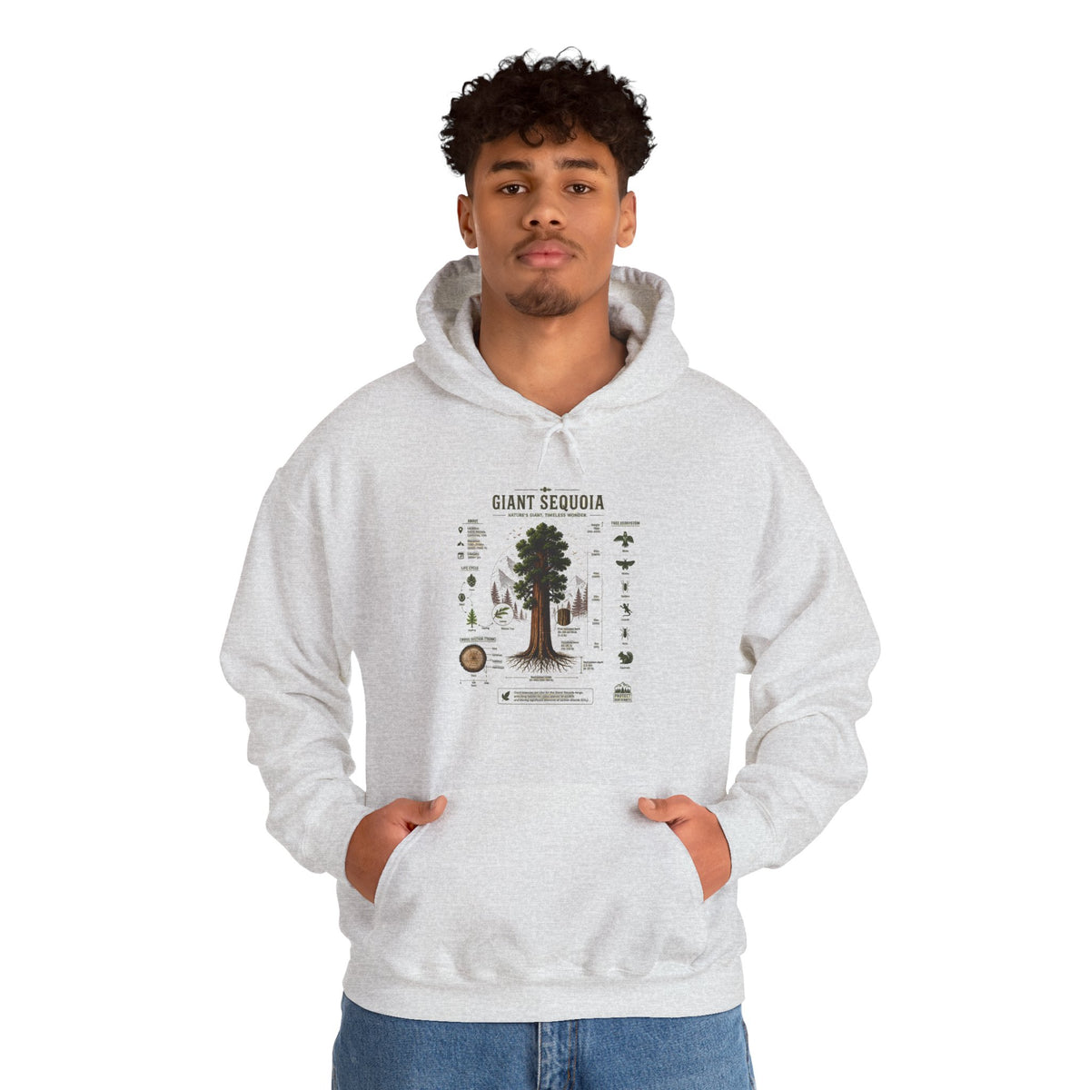 Giant Sequoia Botanical Hoodie — Vintage Tree Illustration & Facts